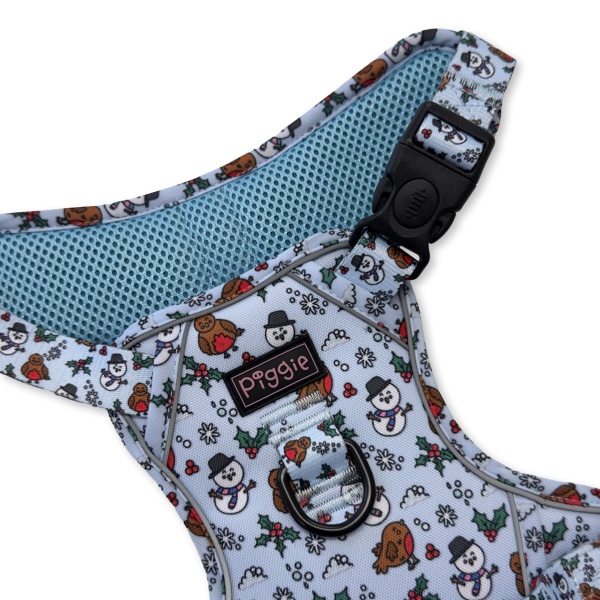 Mr Robin Explorer Dog Harness